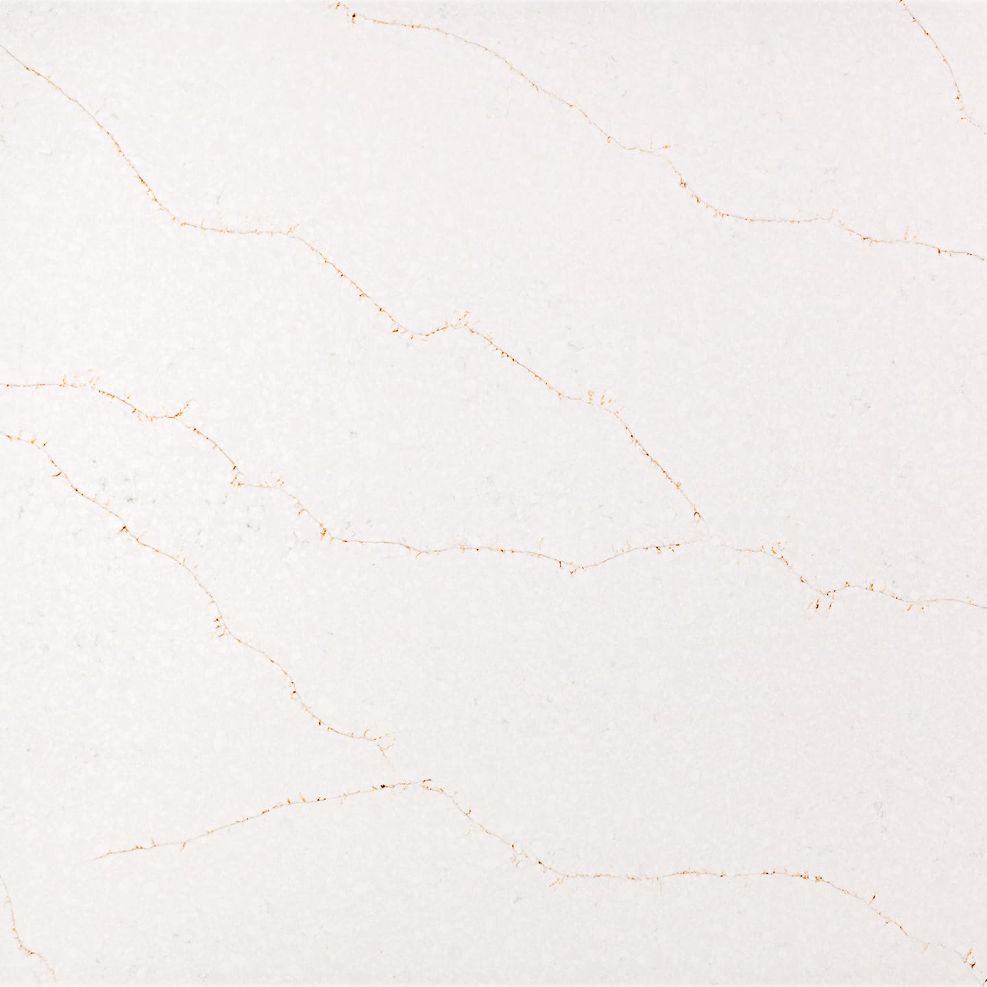 Calacatta Vivaldi Gold Close-up