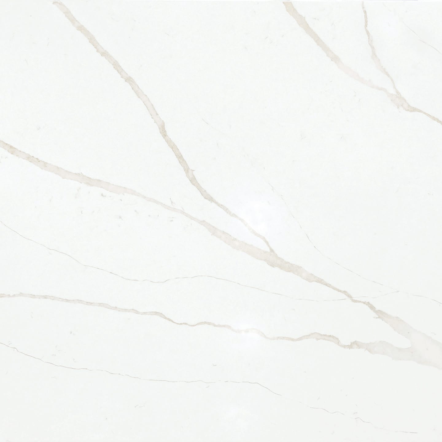 Calacatta Helena Gold